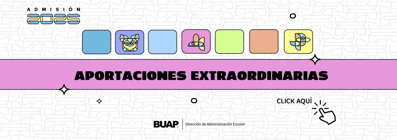 Aportaciones extraordinarias 2025